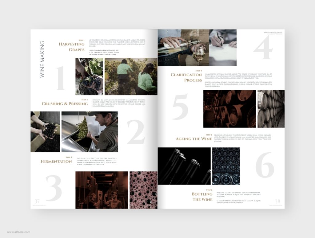 Wine Making Brochure Template