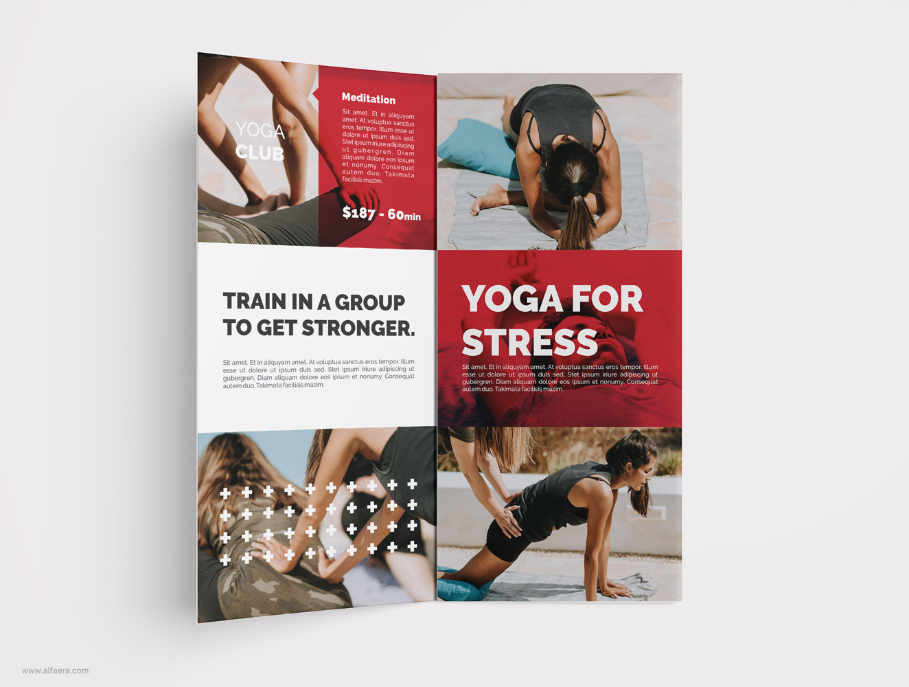 Yoga Tri  Fold  Brochure  Corel DRAW  ALFAERA CorelDRAW  