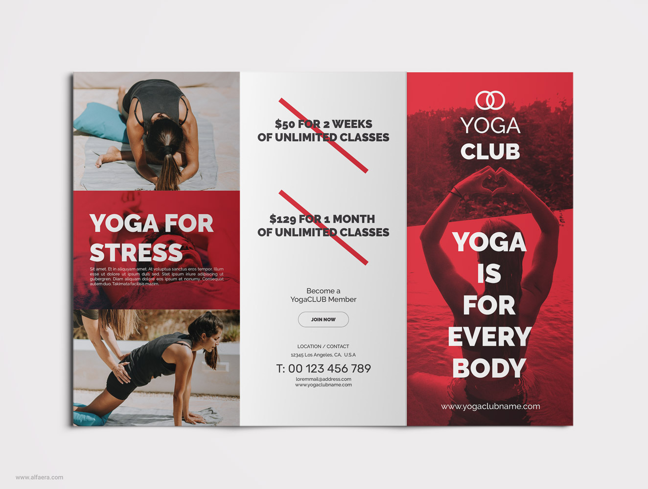 Yoga Tri  Fold  Brochure  Corel DRAW  ALFAERA CorelDRAW  